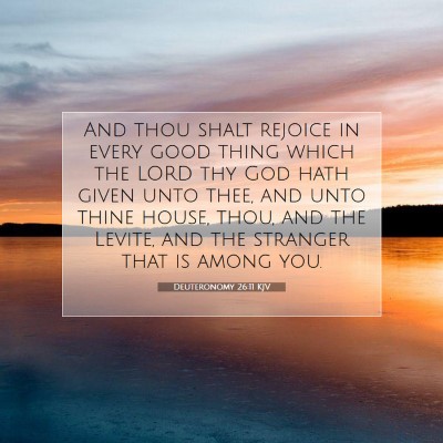 Picture 07 - Deuteronomy 26:11 KJV - And thou shalt rejoice in every good thing which - Bible Verse Picture