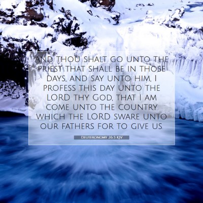 Picture 07 - Deuteronomy 26:3 KJV - And thou shalt go unto the priest that shall be - Bible Verse Picture