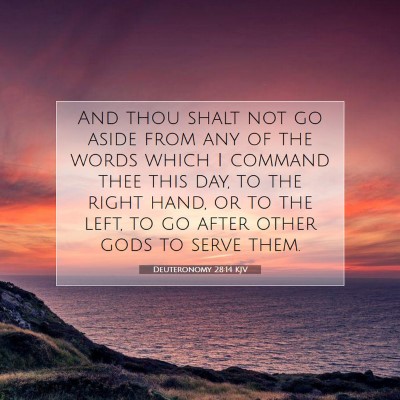 Picture 07 - Deuteronomy 28:14 KJV - And thou shalt not go aside from any of the words - Bible Verse Picture