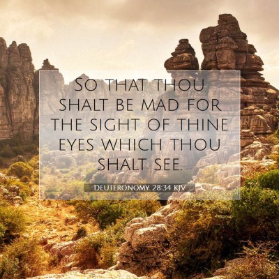 Picture 07 - Deuteronomy 28:34 KJV - So that thou shalt be mad for the sight of thine - Bible Verse Picture