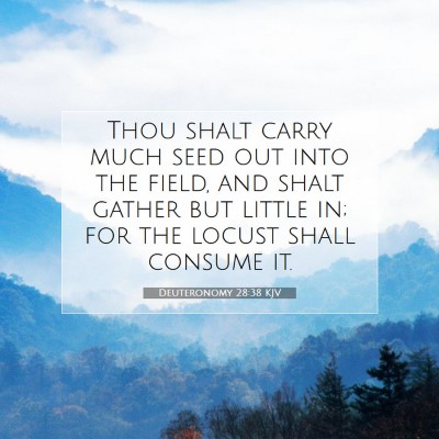 Picture 07 - Deuteronomy 28:38 KJV - Thou shalt carry much seed out into the field, - Bible Verse Picture
