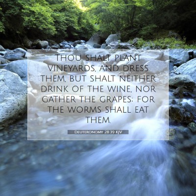 Picture 07 - Deuteronomy 28:39 KJV - Thou shalt plant vineyards, and dress them, but - Bible Verse Picture
