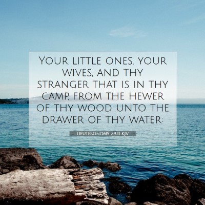 Picture 07 - Deuteronomy 29:11 KJV - Your little ones, your wives, and thy stranger - Bible Verse Picture