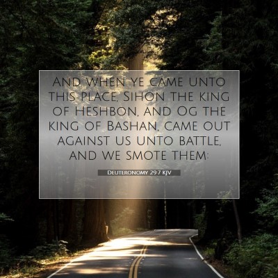 Picture 07 - Deuteronomy 29:7 KJV - And when ye came unto this place, Sihon the king - Bible Verse Picture