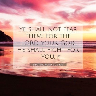Picture 07 - Deuteronomy 3:22 KJV - Ye shall not fear them: for the LORD your God he - Bible Verse Picture