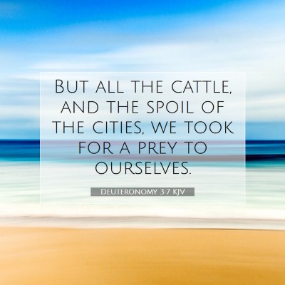 Picture 07 - Deuteronomy 3:7 KJV - But all the cattle, and the spoil of the cities, - Bible Verse Picture