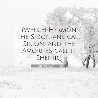 Picture 07 - Deuteronomy 3:9 KJV - (Which Hermon the Sidonians call Sirion; and the - Bible Verse Picture