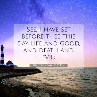 Picture 07 - Deuteronomy 30:15 KJV - See, I have set before thee this day life and - Bible Verse Picture