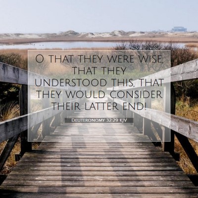 Picture 07 - Deuteronomy 32:29 KJV - O that they were wise, that they understood this, - Bible Verse Picture