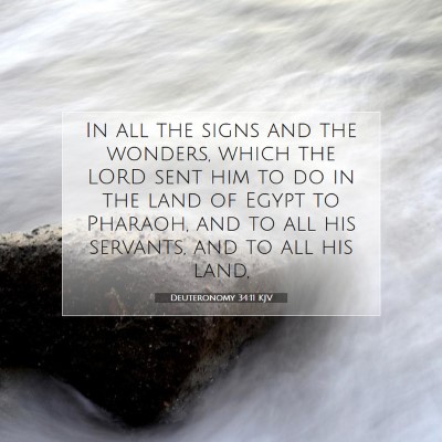 Picture 07 - Deuteronomy 34:11 KJV - In all the signs and the wonders, which the LORD - Bible Verse Picture
