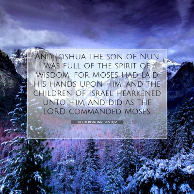 Picture 07 - Deuteronomy 34:9 KJV - And Joshua the son of Nun was full of the spirit - Bible Verse Picture