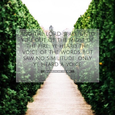 Picture 07 - Deuteronomy 4:12 KJV - And the LORD spake unto you out of the midst of - Bible Verse Picture