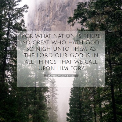 Picture 07 - Deuteronomy 4:7 KJV - For what nation is there so great, who hath God - Bible Verse Picture