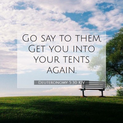Picture 07 - Deuteronomy 5:30 KJV - Go say to them, Get you into your tents - Bible Verse Picture