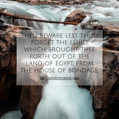 Picture 07 - Deuteronomy 6:12 KJV - Then beware lest thou forget the LORD, which - Bible Verse Picture