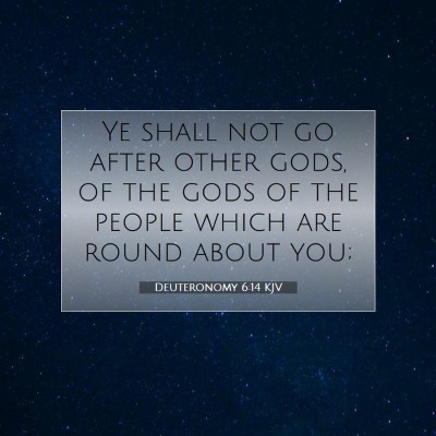 Picture 07 - Deuteronomy 6:14 KJV - Ye shall not go after other gods, of the gods of - Bible Verse Picture