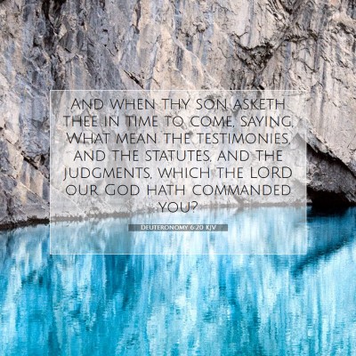 Picture 07 - Deuteronomy 6:20 KJV - And when thy son asketh thee in time to come, - Bible Verse Picture