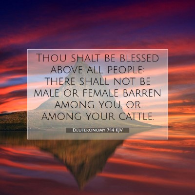 Picture 07 - Deuteronomy 7:14 KJV - Thou shalt be blessed above all people: there - Bible Verse Picture