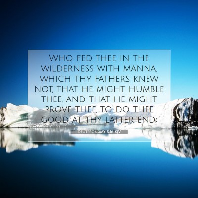 Picture 07 - Deuteronomy 8:16 KJV - Who fed thee in the wilderness with manna, which - Bible Verse Picture