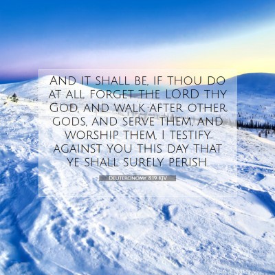 Picture 07 - Deuteronomy 8:19 KJV - And it shall be, if thou do at all forget the - Bible Verse Picture
