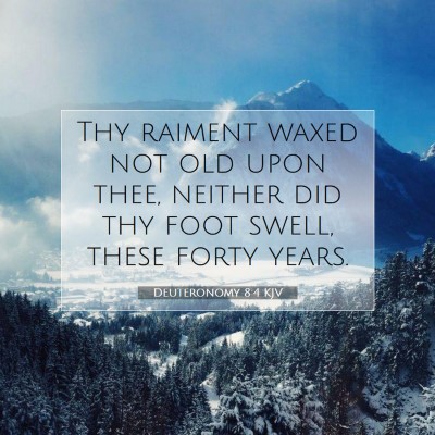 Picture 07 - Deuteronomy 8:4 KJV - Thy raiment waxed not old upon thee, neither did - Bible Verse Picture