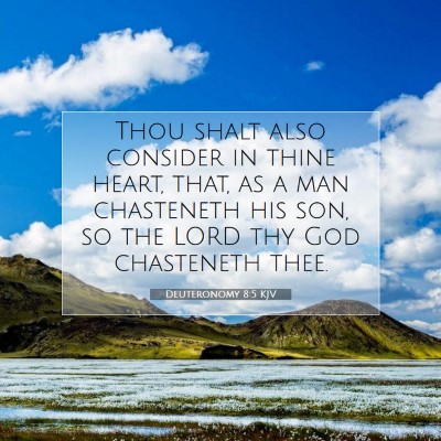 Picture 07 - Deuteronomy 8:5 KJV - Thou shalt also consider in thine heart, that, as - Bible Verse Picture