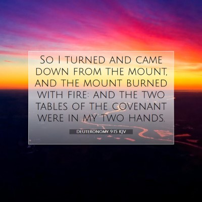 Picture 07 - Deuteronomy 9:15 KJV - So I turned and came down from the mount, and the - Bible Verse Picture