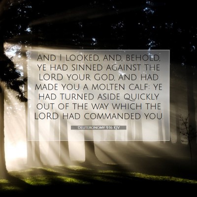 Picture 07 - Deuteronomy 9:16 KJV - And I looked, and, behold, ye had sinned against - Bible Verse Picture