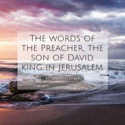 Picture 07 - Ecclesiastes 1:1 KJV - The words of the Preacher, the son of David, king - Bible Verse Picture