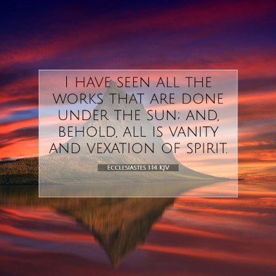 Picture 07 - Ecclesiastes 1:14 KJV - I have seen all the works that are done under the - Bible Verse Picture