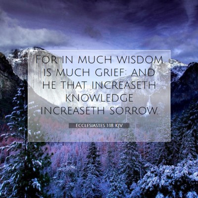 Picture 07 - Ecclesiastes 1:18 KJV - For in much wisdom is much grief: and he that - Bible Verse Picture