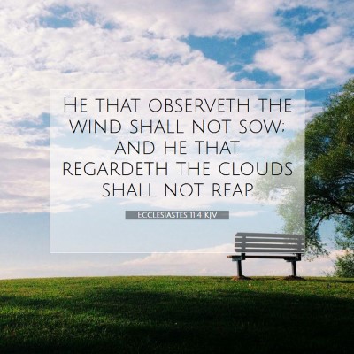 Picture 07 - Ecclesiastes 11:4 KJV - He that observeth the wind shall not sow; and he - Bible Verse Picture