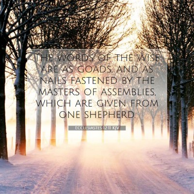 Picture 07 - Ecclesiastes 12:11 KJV - The words of the wise are as goads, and as nails - Bible Verse Picture