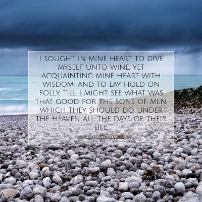 Picture 07 - Ecclesiastes 2:3 KJV - I sought in mine heart to give myself unto wine, - Bible Verse Picture