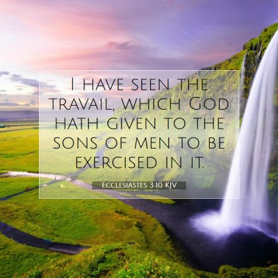 Picture 07 - Ecclesiastes 3:10 KJV - I have seen the travail, which God hath given to - Bible Verse Picture