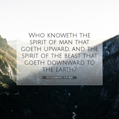 Picture 07 - Ecclesiastes 3:21 KJV - Who knoweth the spirit of man that goeth upward, - Bible Verse Picture