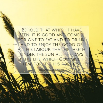 Picture 07 - Ecclesiastes 5:18 KJV - Behold that which I have seen: it is good and - Bible Verse Picture