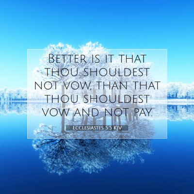 Picture 07 - Ecclesiastes 5:5 KJV - Better is it that thou shouldest not vow, than - Bible Verse Picture