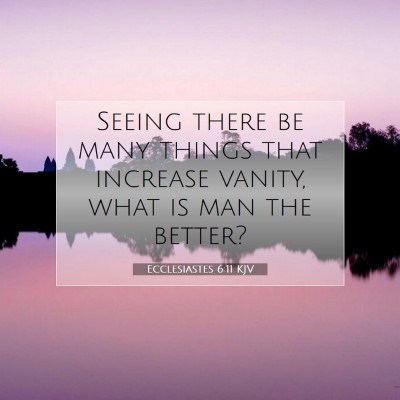 Picture 07 - Ecclesiastes 6:11 KJV - Seeing there be many things that increase vanity, - Bible Verse Picture