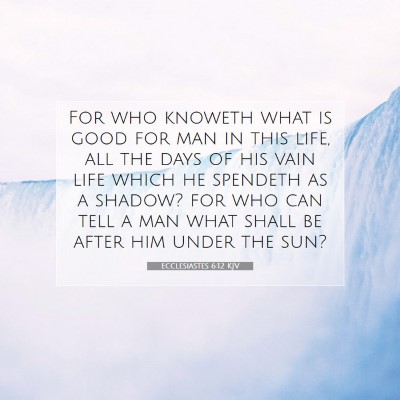 Picture 07 - Ecclesiastes 6:12 KJV - For who knoweth what is good for man in this - Bible Verse Picture