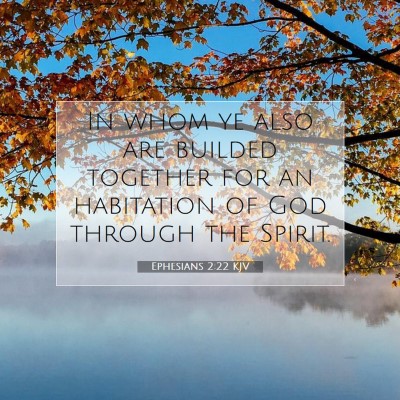Picture 07 - Ephesians 2:22 KJV - In whom ye also are builded together for an - Bible Verse Picture