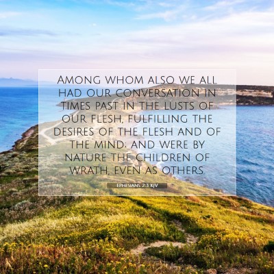 Picture 07 - Ephesians 2:3 KJV - Among whom also we all had our conversation in - Bible Verse Picture