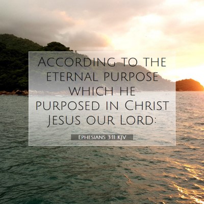 Picture 07 - Ephesians 3:11 KJV - According to the eternal purpose which he - Bible Verse Picture