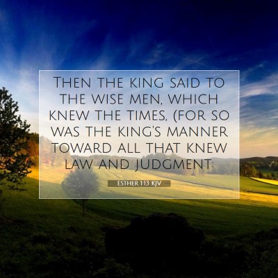 Picture 07 - Esther 1:13 KJV - Then the king said to the wise men, which knew - Bible Verse Picture
