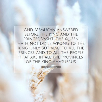 Picture 07 - Esther 1:16 KJV - And Memucan answered before the king and the - Bible Verse Picture