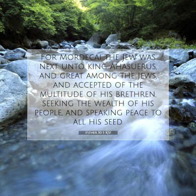 Picture 07 - Esther 10:3 KJV - For Mordecai the Jew was next unto king - Bible Verse Picture