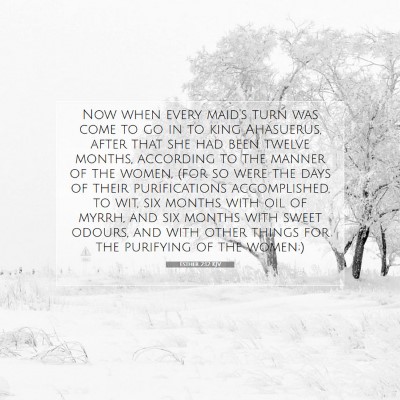 Picture 07 - Esther 2:12 KJV - Now when every maid's turn was come to go in to - Bible Verse Picture