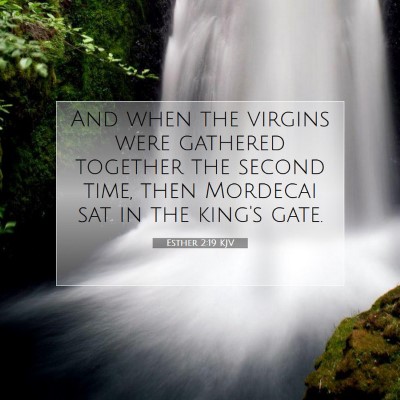 Picture 07 - Esther 2:19 KJV - And when the virgins were gathered together the - Bible Verse Picture