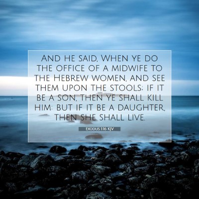 Picture 07 - Exodus 1:16 KJV - And he said, When ye do the office of a midwife - Bible Verse Picture