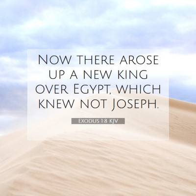 Picture 07 - Exodus 1:8 KJV - Now there arose up a new king over Egypt, which - Bible Verse Picture